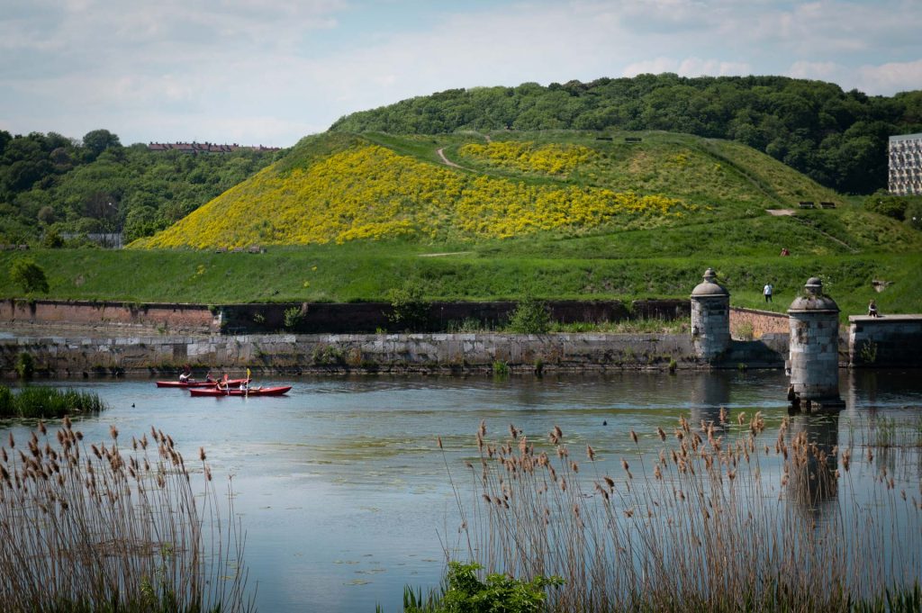 Bastion Żubr